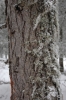 Файл=DSC_0107~0.JPG
Объём=414KB
Размеры=680x1024
Дата=Нояб 07, 2012 DSC_0107~0.JPG