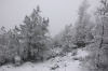 Файл=DSC_0120~0.JPG
Объём=365KB
Размеры=1024x680
Дата=Нояб 06, 2012 DSC_0120~0.JPG
