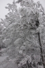 Файл=DSC_0121.JPG
Объём=409KB
Размеры=680x1024
Дата=Нояб 06, 2012 DSC_0121.JPG