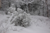 Файл=DSC_0123~0.JPG
Объём=355KB
Размеры=1024x680
Дата=Нояб 06, 2012 DSC_0123~0.JPG