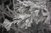 Файл=DSC_0130.JPG
Объём=373KB
Размеры=1024x680
Дата=Нояб 06, 2012 DSC_0130.JPG