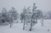 Файл=DSC_0133.JPG
Объём=286KB
Размеры=1024x680
Дата=Нояб 06, 2012 DSC_0133.JPG