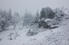 Файл=DSC_0139.JPG
Объём=327KB
Размеры=1024x680
Дата=Нояб 06, 2012 DSC_0139.JPG