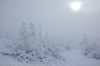 Файл=DSC_0160.JPG
Объём=297KB
Размеры=1024x680
Дата=Нояб 07, 2012 DSC_0160.JPG