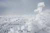 Файл=DSC_0172.JPG
Объём=354KB
Размеры=1024x680
Дата=Нояб 07, 2012 DSC_0172.JPG