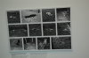 Файл=DSC_0186.JPG
Объём=1602KB
Размеры=2240x1488
Дата=Июль 11, 2011 DSC_0186.JPG