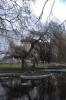 Файл=DSC_0207~0.jpg
Объём=498KB
Размеры=678x1024
Дата=Апр 13, 2014 DSC_0207~0.jpg