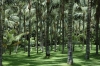 Файл=DSC_0207.JPG
Объём=182KB
Размеры=800x531
Дата=Фев 12, 2010 DSC_0207.JPG