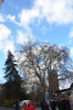 Файл=DSC_0208.jpg
Объём=2286KB
Размеры=1632x2464
Дата=Апр 13, 2014 DSC_0208.jpg