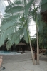 Файл=DSC_0256.JPG
Объём=233KB
Размеры=664x1000
Дата=Июль 12, 2011 DSC_0256.JPG