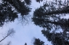Файл=DSC_0278.JPG
Объём=371KB
Размеры=1024x680
Дата=Нояб 07, 2012 DSC_0278.JPG