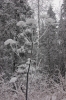 Файл=DSC_0284.JPG
Объём=446KB
Размеры=680x1024
Дата=Нояб 07, 2012 DSC_0284.JPG