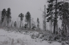 Файл=DSC_0285.JPG
Объём=1750KB
Размеры=2240x1488
Дата=Нояб 07, 2012 DSC_0285.JPG