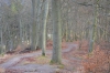 Файл=DSC_0301.jpg
Объём=450KB
Размеры=1024x678
Дата=Апр 13, 2014 DSC_0301.jpg