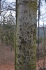 Файл=DSC_0306.jpg
Объём=546KB
Размеры=678x1024
Дата=Апр 13, 2014 DSC_0306.jpg