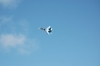 Файл=DSC_0316.JPG
Объём=68KB
Размеры=1000x664
Дата=Сент 11, 2011 DSC_0316.JPG