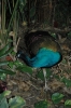 Файл=DSC_0351.JPG
Объём=198KB
Размеры=664x1000
Дата=Июль 12, 2011 DSC_0351.JPG