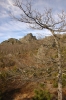 Файл=DSC_0359.JPG
Объём=392KB
Размеры=680x1024
Дата=Окт 24, 2011 DSC_0359.JPG