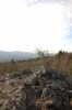 Файл=DSC_0360.JPG
Объём=286KB
Размеры=680x1024
Дата=Окт 24, 2011 DSC_0360.JPG