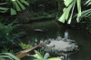 Файл=DSC_0367.JPG
Объём=204KB
Размеры=1000x664
Дата=Июль 12, 2011 DSC_0367.JPG