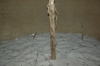 Файл=DSC_0372.JPG
Объём=147KB
Размеры=1000x664
Дата=Июль 12, 2011 DSC_0372.JPG