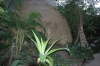 Файл=DSC_0376.JPG
Объём=252KB
Размеры=1000x664
Дата=Июль 13, 2011 DSC_0376.JPG