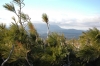 Файл=DSC_0377.JPG
Объём=351KB
Размеры=1024x680
Дата=Окт 24, 2011 DSC_0377.JPG