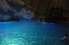 Файл=DSC_0389.JPG
Объём=162KB
Размеры=1000x664
Дата=Июль 12, 2011 DSC_0389.JPG