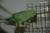 Файл=DSC_0572.JPG
Объём=1373KB
Размеры=2240x1488
Дата=Сент 03, 2012 DSC_0572.JPG