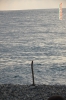 Файл=DSC_1807.jpg
Объём=290KB
Размеры=678x1024
Дата=Янв 10, 2015 DSC_1807.jpg