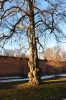 Файл=DSC_1841.jpg
Объём=420KB
Размеры=678x1024
Дата=Янв 25, 2013 DSC_1841.jpg