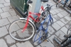Файл=DSC_1920.jpg
Объём=481KB
Размеры=1024x678
Дата=Янв 27, 2013 DSC_1920.jpg