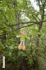 Файл=DSC_1985.jpg
Объём=357KB
Размеры=678x1024
Дата=Фев 01, 2015 DSC_1985.jpg