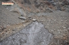 Файл=DSC_2011.jpg
Объём=349KB
Размеры=1024x678
Дата=Фев 01, 2015 DSC_2011.jpg