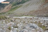 Файл=DSC_2030~0.jpg
Объём=347KB
Размеры=1024x678
Дата=Фев 01, 2015 DSC_2030~0.jpg