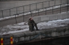 Файл=DSC_2144.jpg
Объём=432KB
Размеры=1024x678
Дата=Янв 27, 2013 DSC_2144.jpg