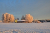 Файл=DSC_2546~1.jpg
Объём=417KB
Размеры=1024x678
Дата=Янв 30, 2013 DSC_2546~1.jpg