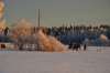 Файл=DSC_2548.jpg
Объём=463KB
Размеры=1024x678
Дата=Янв 30, 2013 DSC_2548.jpg