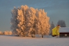 Файл=DSC_2550.jpg
Объём=463KB
Размеры=1024x678
Дата=Янв 30, 2013 DSC_2550.jpg