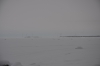 Файл=DSC_2570.jpg
Объём=219KB
Размеры=1024x678
Дата=Янв 30, 2013 DSC_2570.jpg