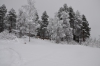 Файл=DSC_2592.jpg
Объём=428KB
Размеры=1024x678
Дата=Янв 30, 2013 DSC_2592.jpg