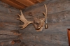 Файл=DSC_2619.jpg
Объём=368KB
Размеры=1024x678
Дата=Янв 31, 2013 DSC_2619.jpg