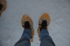 DSC_2664.jpg