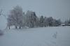 Файл=DSC_2668.jpg
Объём=343KB
Размеры=1024x678
Дата=Янв 31, 2013 DSC_2668.jpg