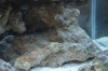 DSC_2673.JPG
