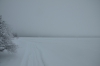 Файл=DSC_2676.jpg
Объём=262KB
Размеры=1024x678
Дата=Янв 31, 2013 DSC_2676.jpg