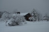 Файл=DSC_2678~0.jpg
Объём=376KB
Размеры=1024x678
Дата=Янв 31, 2013 DSC_2678~0.jpg