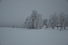 Файл=DSC_2681.jpg
Объём=332KB
Размеры=1024x678
Дата=Янв 31, 2013 DSC_2681.jpg