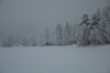 Файл=DSC_2688.jpg
Объём=346KB
Размеры=1024x678
Дата=Янв 31, 2013 DSC_2688.jpg