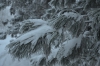 Файл=DSC_2712.jpg
Объём=437KB
Размеры=1024x678
Дата=Янв 31, 2013 DSC_2712.jpg